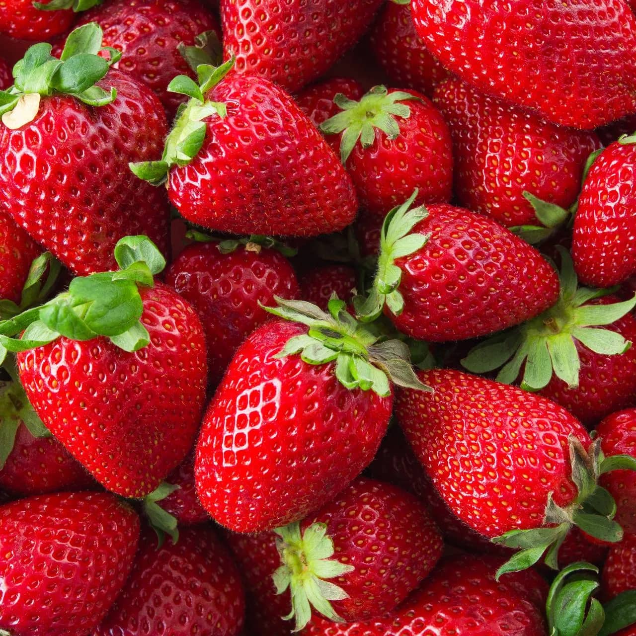 Полуниця Сибілла (Fragaria moschata Sibilla) - сорт полуниці середнього строку дозрівання