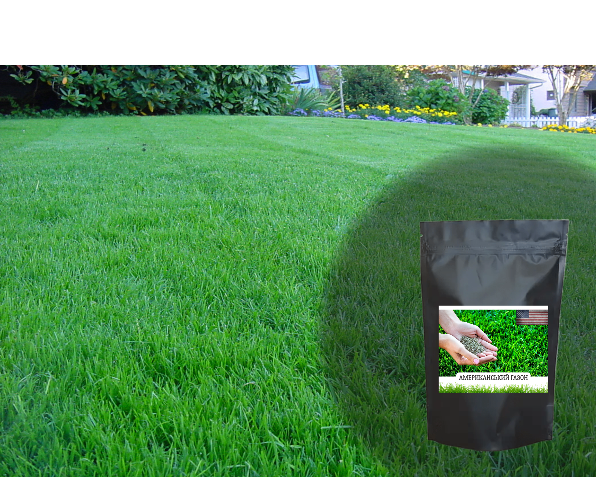 Насіння Американського низькорослого газону
